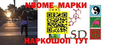 прущие грибы Тверь