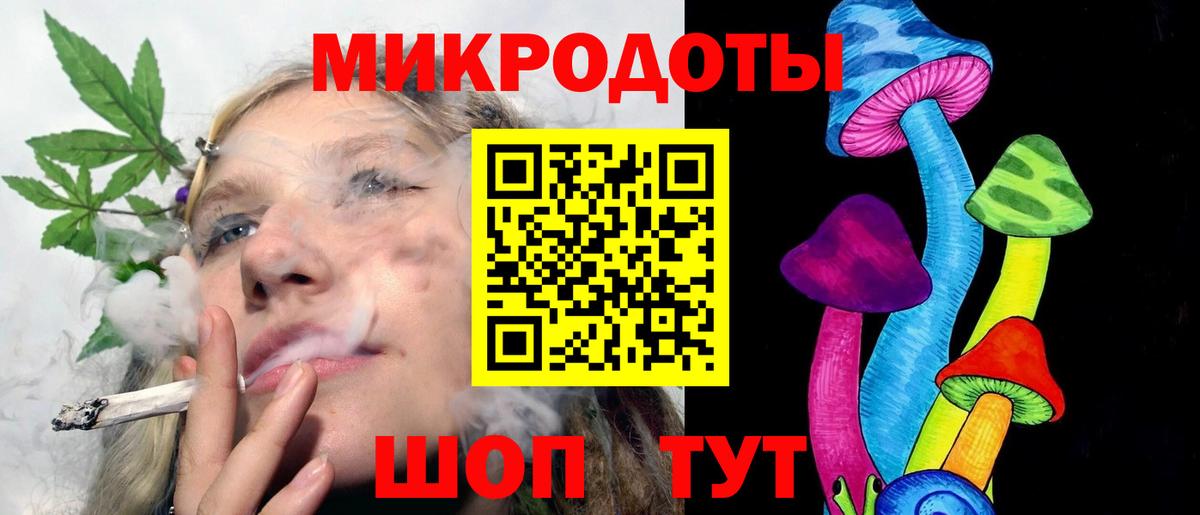 Галлюциногенные грибы Psilocybe Сорочинск