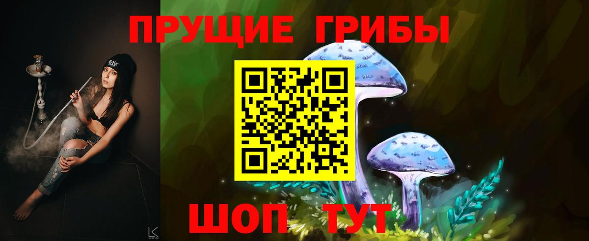 Галлюциногенные грибы прущие грибы  Вход с VPN  Сорочинск 